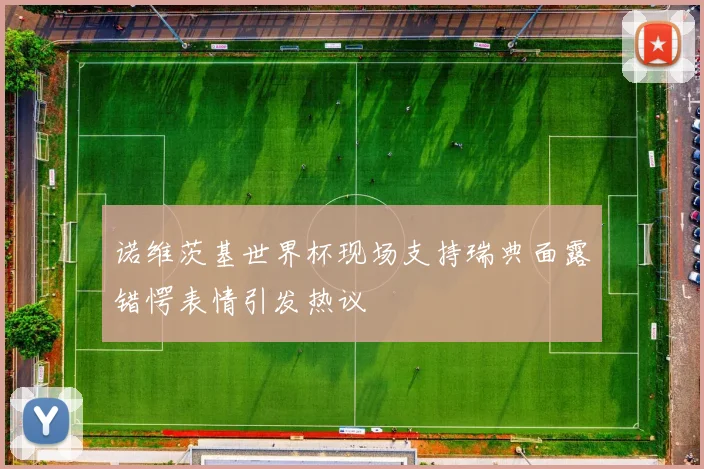 诺维茨基世界杯现场支持瑞典面露错愕表情引发热议