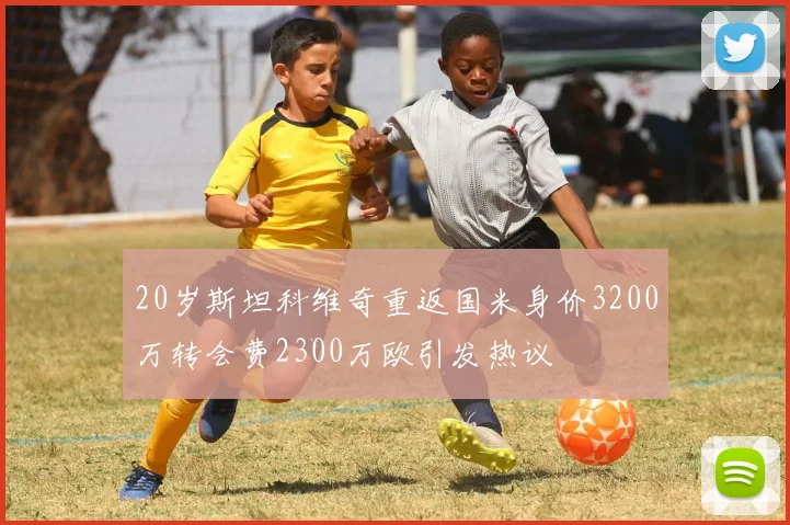20岁斯坦科维奇重返国米身价3200万转会费2300万欧引发热议